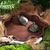 ZooVenture Baignoire et bac d'alimentation pour reptiles