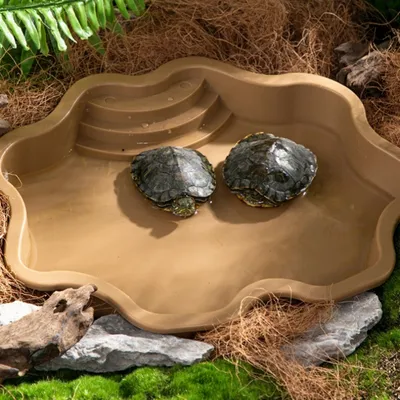 ZooVenture Baignoire et bac d'alimentation pour reptiles