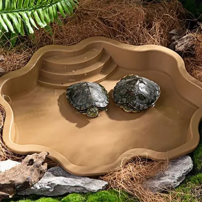 ZooVenture Baignoire et bac d'alimentation pour reptiles