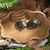 ZooVenture Baignoire et bac d'alimentation pour reptiles