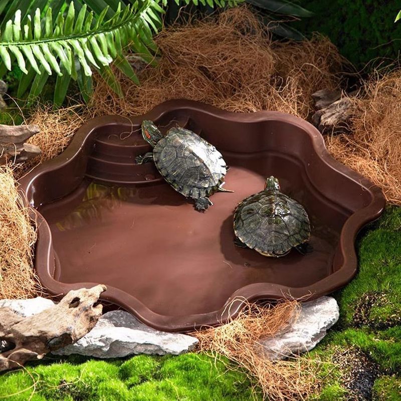 ZooVenture Baignoire et bac d'alimentation pour reptiles