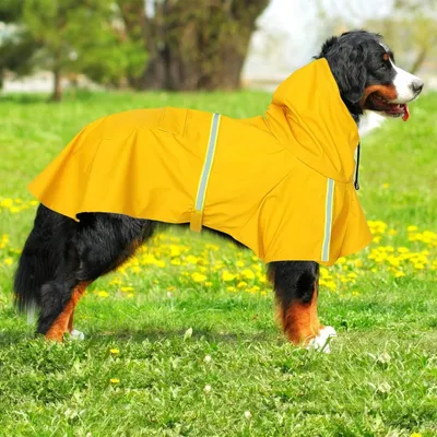 ZooVenture Gelber Hunde-Regenmantel – Größe M ZooVenture Gelber Hunde-Regenmantel – Größe M