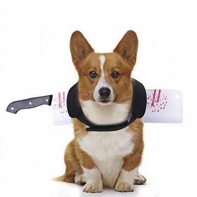 ZooVenture Vêtements d'halloween pour chiens