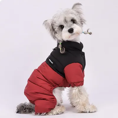 ZooVenture Roter Wintermantel für Hunde ZooVenture Roter Wintermantel für Hunde