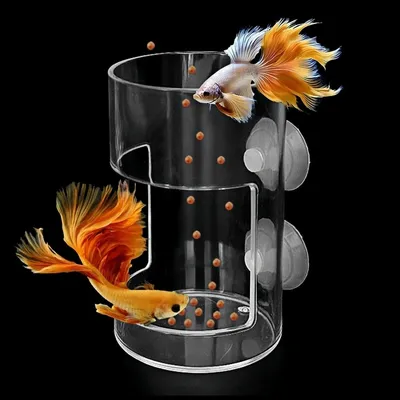 ZooVenture Anti - Déversement Mangeoire pour Poissons d'Aquarium