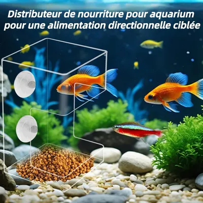 ZooVenture Anti - Déversement Mangeoire pour Poissons d'Aquarium