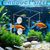ZooVenture Anti - Déversement Mangeoire pour Poissons d'Aquarium