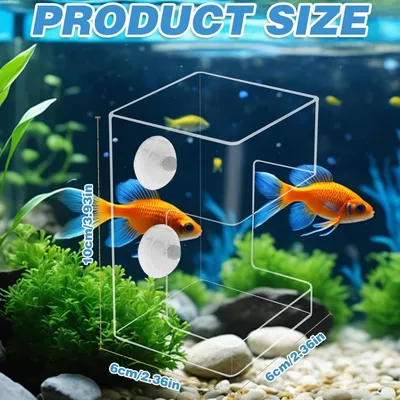 ZooVenture Anti - Déversement Mangeoire pour Poissons d'Aquarium