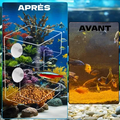 ZooVenture Anti - Déversement Mangeoire pour Poissons d'Aquarium