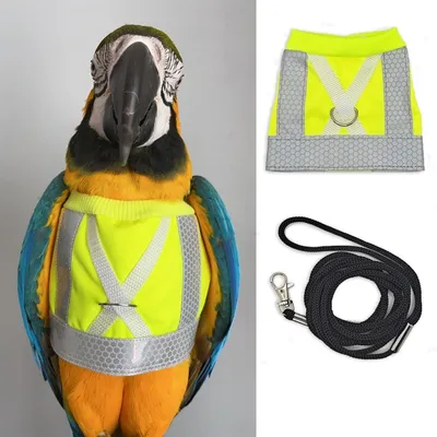 ZooVenture Harnais pour oiseaux