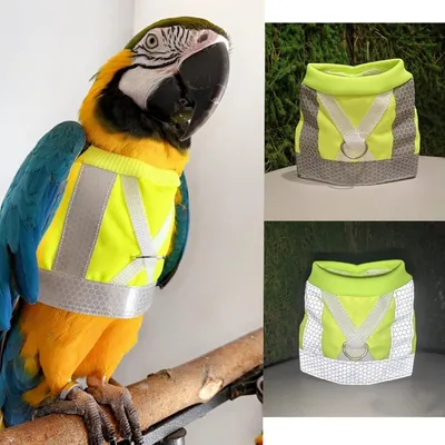 ZooVenture Harnais pour oiseaux