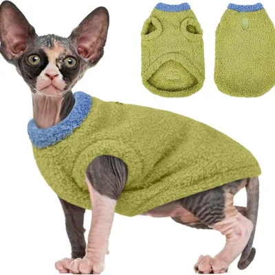 ZooVenture Jersey verde con estampado de gato y perro - Talla M