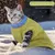 ZooVenture Katzen- und Hundepullover, Grün – Größe M ZooVenture Katzen- und Hundepullover, Grün – Größe M