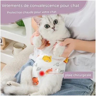 ZooVenture Combinaison de convalescence pour chiens et chats