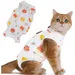 ZooVenture Combinaison de convalescence pour chiens et chats