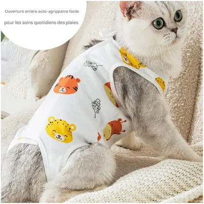 ZooVenture Combinaison de convalescence pour chiens et chats
