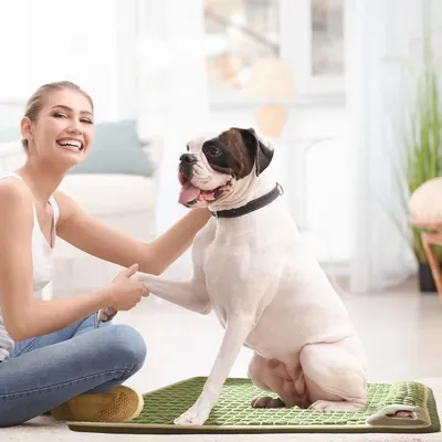 ZooVenture Panier pour chien Apportez un oreiller