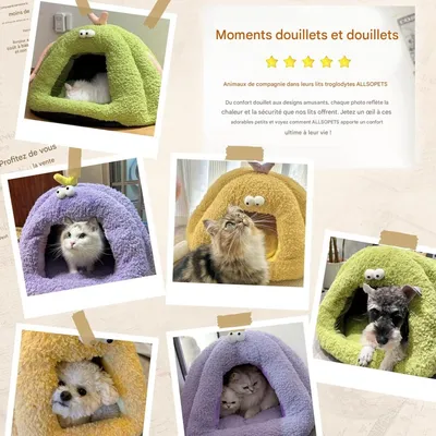 ZooVenture Tente pour chat et chien Vert