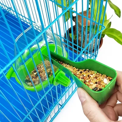 ZooVenture 3 pièces mangeoire et distributeur d'eau pour perroquets