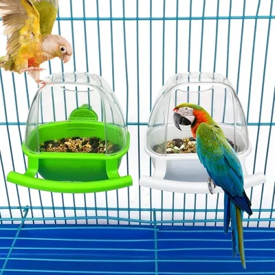 ZooVenture 3 pièces mangeoire et distributeur d'eau pour perroquets