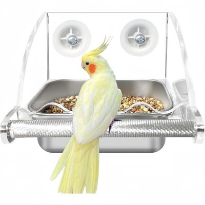 ZooVenture Transparent Mangeoire Pour Oiseaux