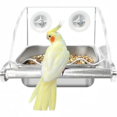 ZooVenture Transparent Mangeoire Pour Oiseaux
