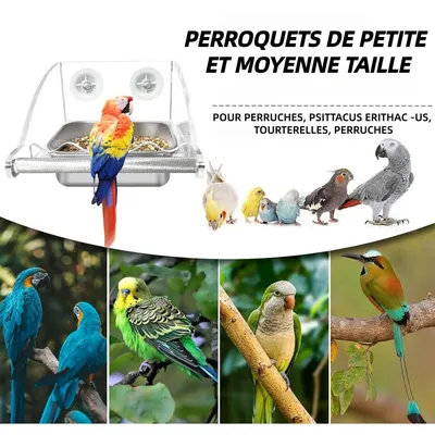 ZooVenture Transparent Mangeoire Pour Oiseaux