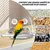 ZooVenture Transparent Mangeoire Pour Oiseaux