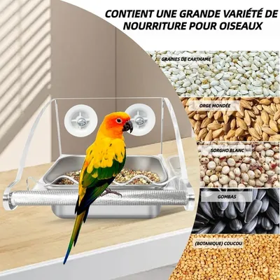 ZooVenture Transparent Mangeoire Pour Oiseaux