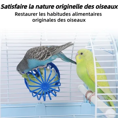 ZooVenture Facile À Utiliser Nourrisseur Pour Oiseaux