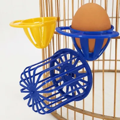 ZooVenture Facile À Utiliser Nourrisseur Pour Oiseaux