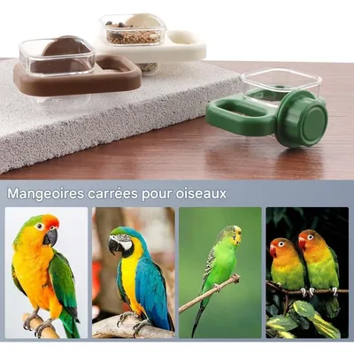 ZooVenture Portable Distributeur d'aliments pour oiseau 3 Pack