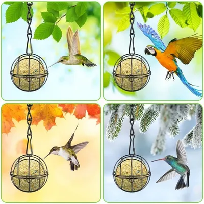 ZooVenture Lot de 4 Mangeoires à Boules de Graisse Noires