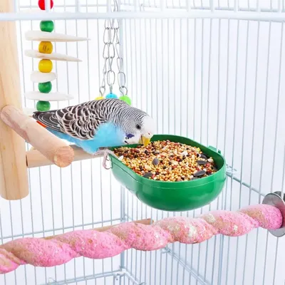 ZooVenture Récipient d'alimentation pour oiseaux