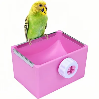 ZooVenture Bol d'alimentation pour oiseaux et hamsters ZooVenture Bol d'alimentation pour oiseaux et hamsters