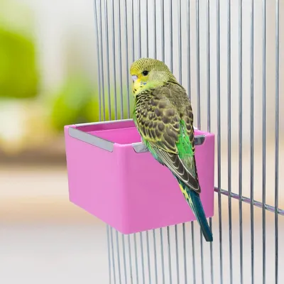 ZooVenture Bol d'alimentation pour oiseaux et hamsters