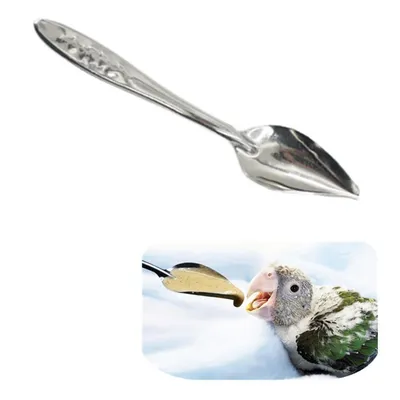 ZooVenture 10 Pièces Cuillère À Nourrir Pour Oiseaux
