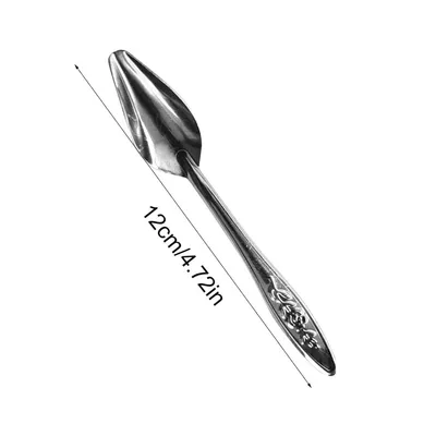 ZooVenture 10 Pièces Cuillère À Nourrir Pour Oiseaux