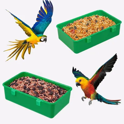 ZooVenture Accessoires de cage à oiseaux pour perroquets