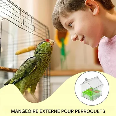 ZooVenture Comedero para pájaros adaptable
