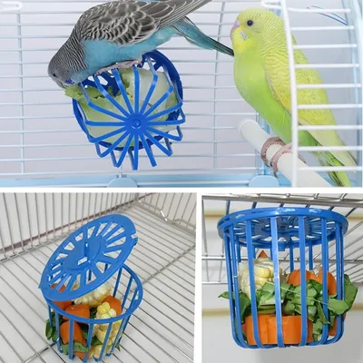 ZooVenture Facile À Utiliser Nourrisseur Pour Oiseaux