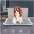 ZooVenture Toilettes pour Chiens Grande taille - bleu 51*39*3,5CM