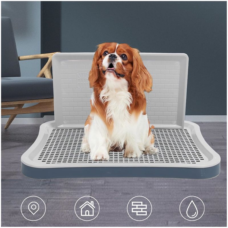ZooVenture Toilettes pour Chiens Grande taille - bleu 51*39*3,5CM