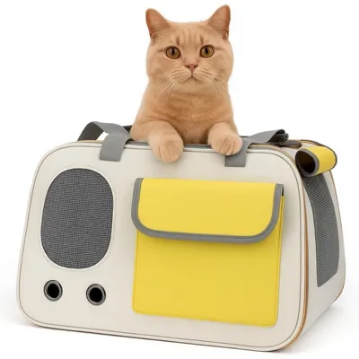 ZooVenture Transparent Multifonction Sac de Voyage pour chat