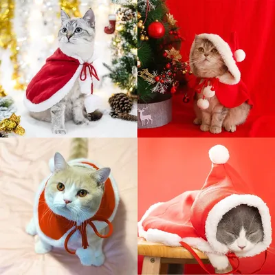 PetTribes Vêtement de Noël pour Chien et Chat - Tenue Festive