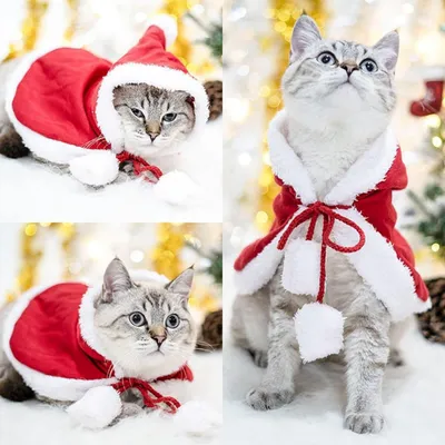 PetTribes Vêtement de Noël pour Chien et Chat - Tenue Festive