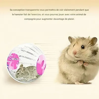 ZooVenture Pelota de ejercicio para hámsteres, ratas y jerbos