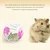 ZooVenture Balle d'exercice pour hamsters, rats et gerbilles