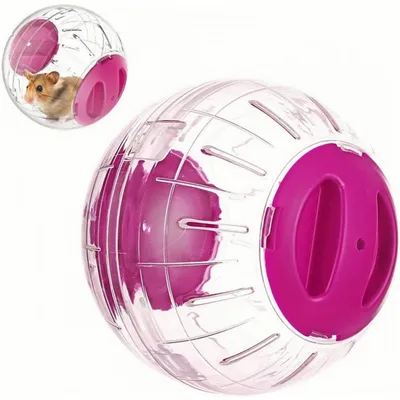ZooVenture Balle d'exercice pour hamsters, rats et gerbilles