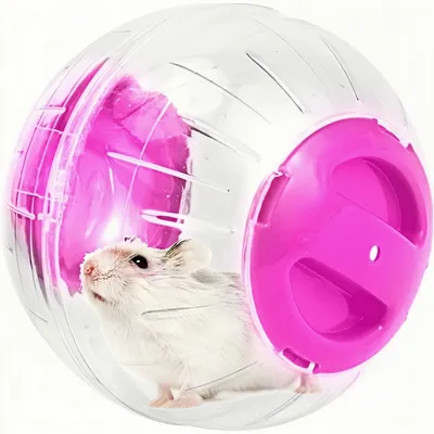 ZooVenture Pelota de ejercicio para hámsteres, ratas y jerbos